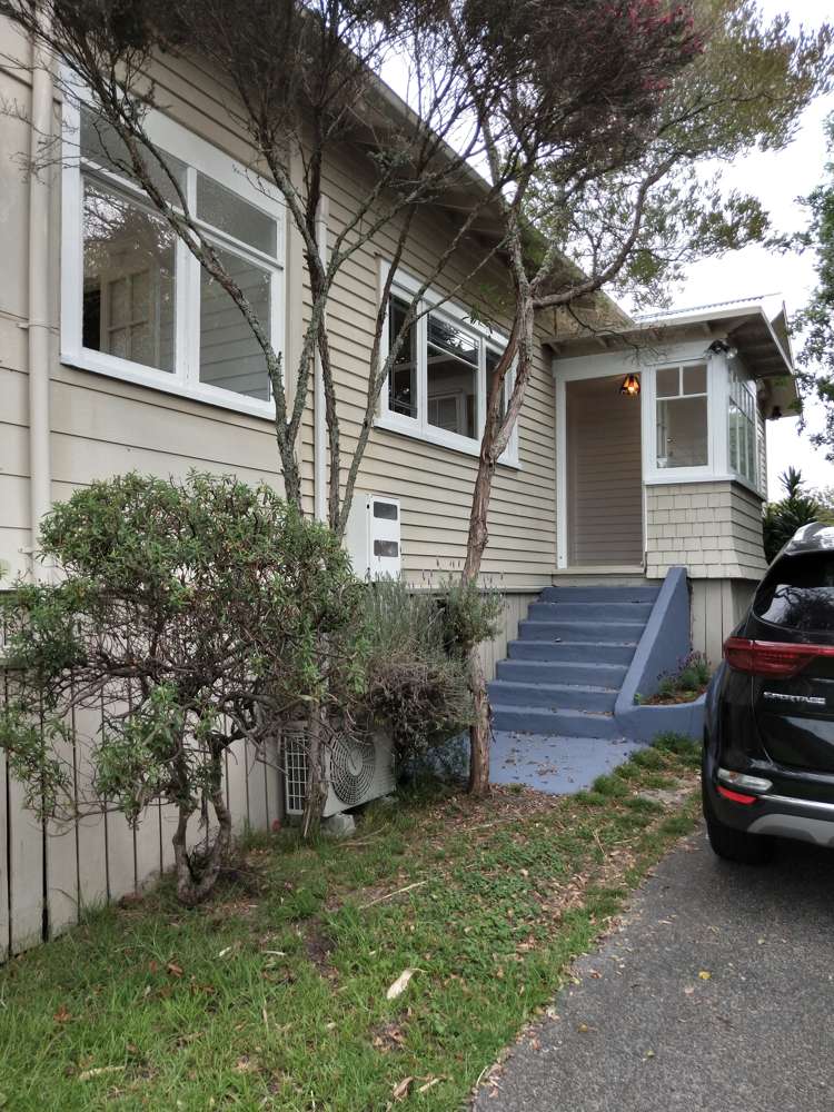 55 Willerton Avenue New Lynn_1