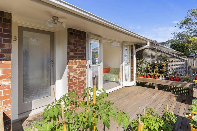 3/42a Clonbern Road Remuera_19