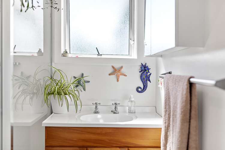 9 Nicholson Street Renwick_12