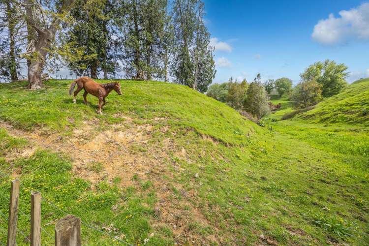 1538A State Highway 3 Te Kuiti_29
