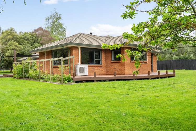 9 Fitzroy Place Tikitere_2