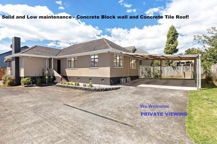 47 Bolton Street Blockhouse Bay_1