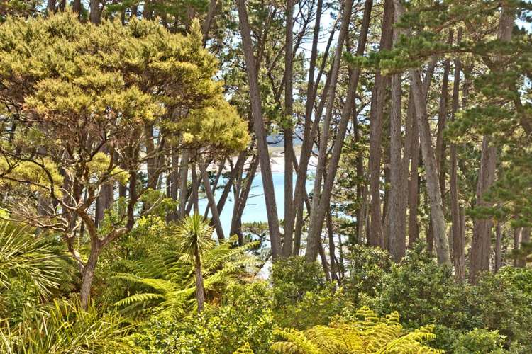 21 Jacaranda Avenue Beach Haven_15