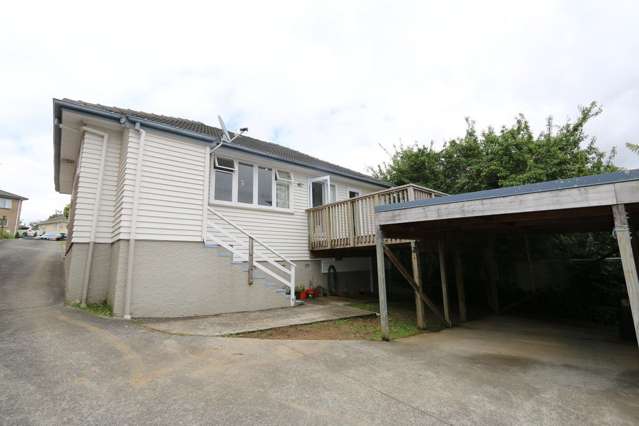 4 Mcgregor Street Mount Roskill_1