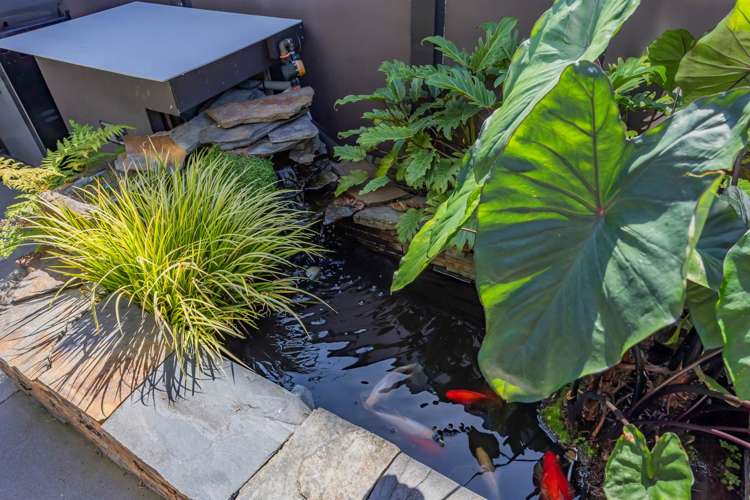 2/10 Ngaio Street Takapuna_34