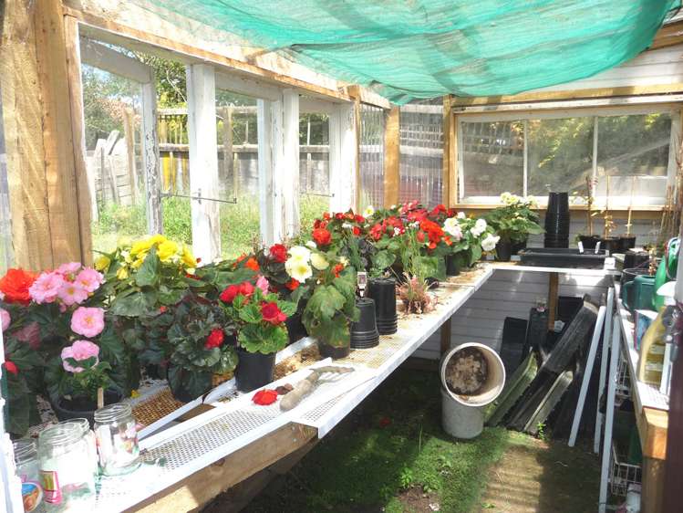 16 Ngatira Road Lichfield_13