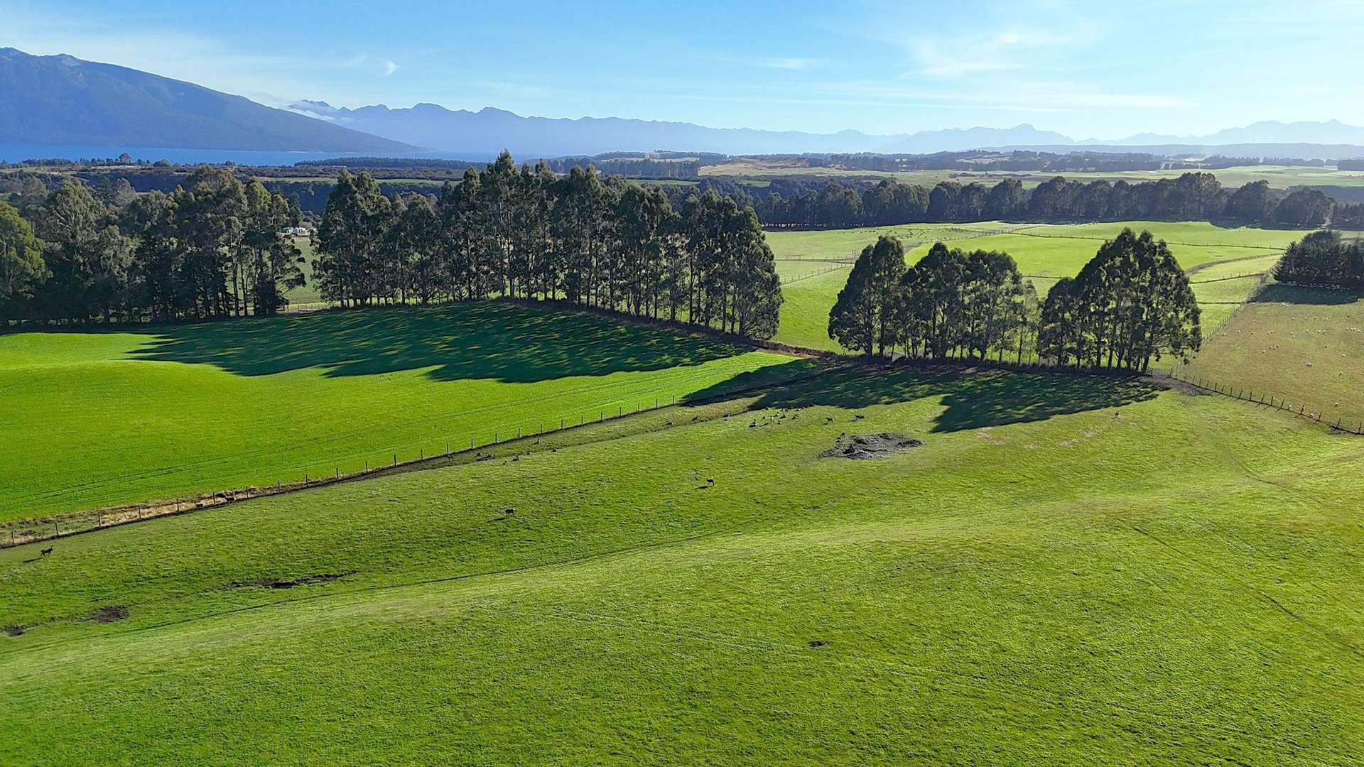 140 Tutoko Lane Te Anau_0