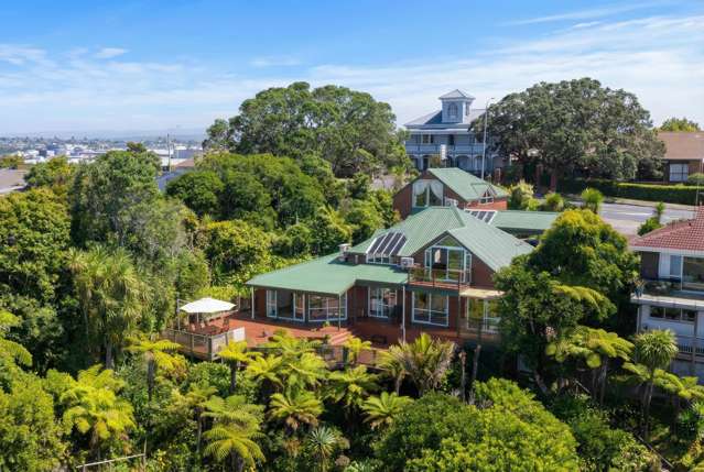 402 Hillsborough Road Mount Roskill_2