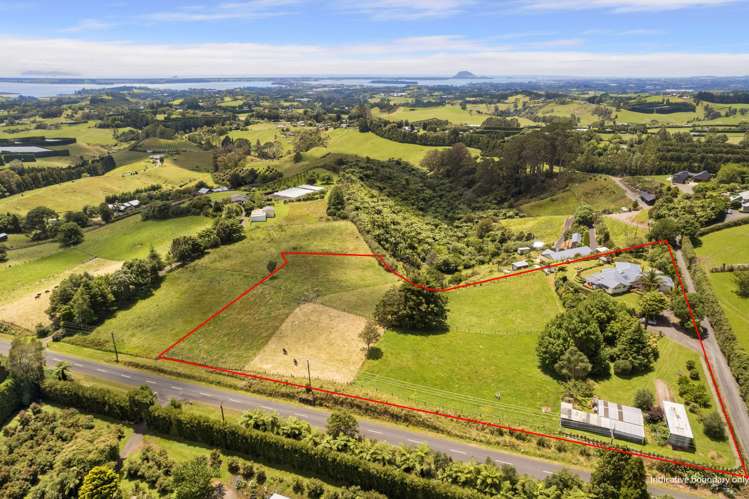 439 Wainui South Road Whakamarama_24
