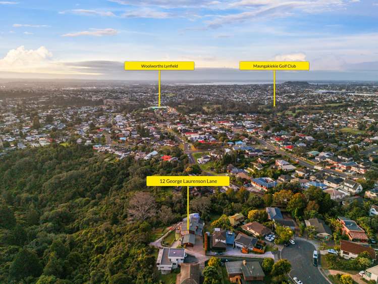 12 George Laurenson Lane Mount Roskill_31