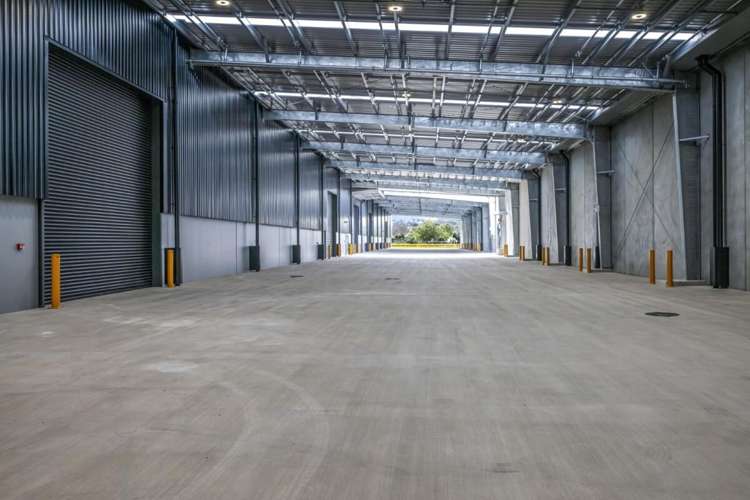 Warehouse A | 224 Neilson Street Onehunga_8