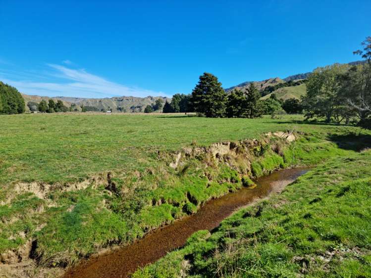 3779 Whanganui River Road (State Highway 43) Ruapehu-King Country Surrounds_13