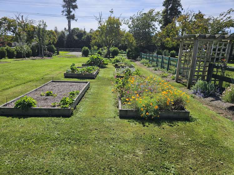 36 Umuroa Street Mamaku_8