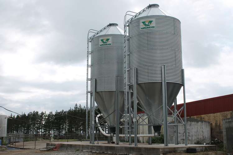 2403 Mountain Road Tariki_10