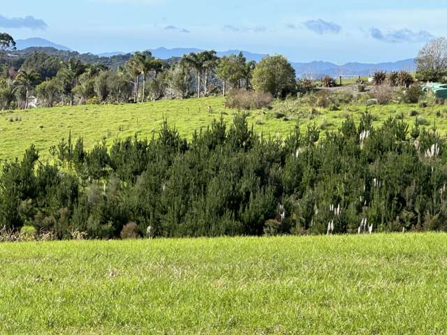 Lot 8/236 Redcliffs Road Kerikeri_4