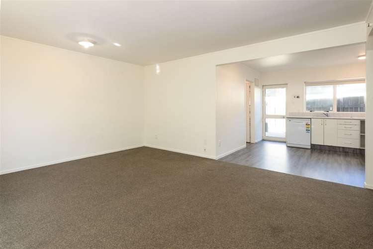 28b Purkiss Street Springlands_7