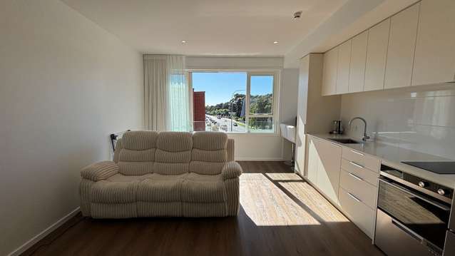 209/2A Oakley Avenue Waterview_1