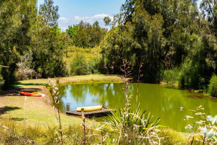 47 Gumdiggers Lane Mangawhai Heads_23