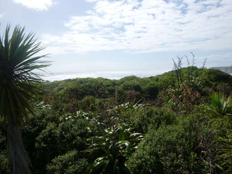 Lighthouse Road Cape Foulwind_5