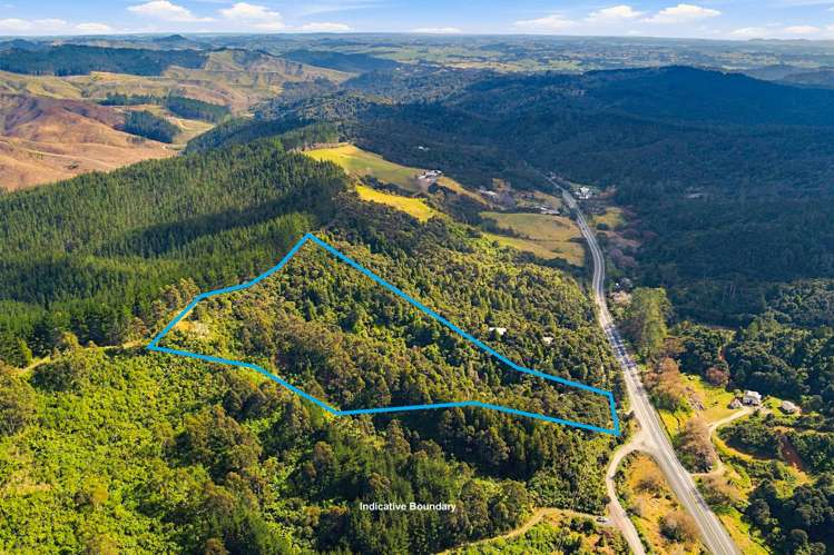 State High Way 1Dome Forest Warkworth_9