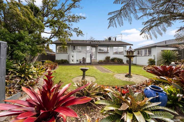 30 Vina Place Massey_1