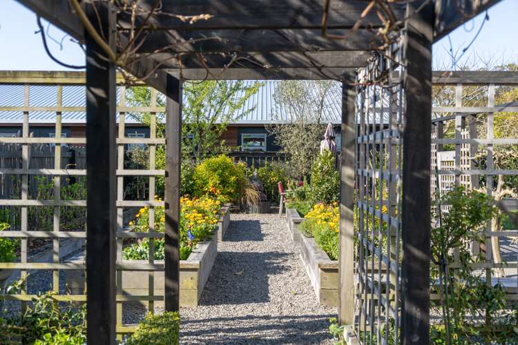 41 Reading Street Greytown_11