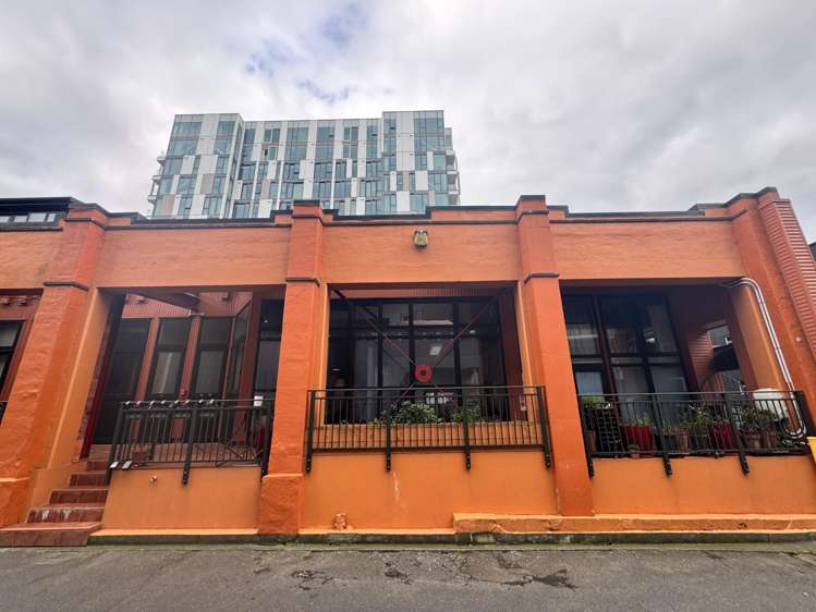 3/14 Alpha Street Te Aro_21