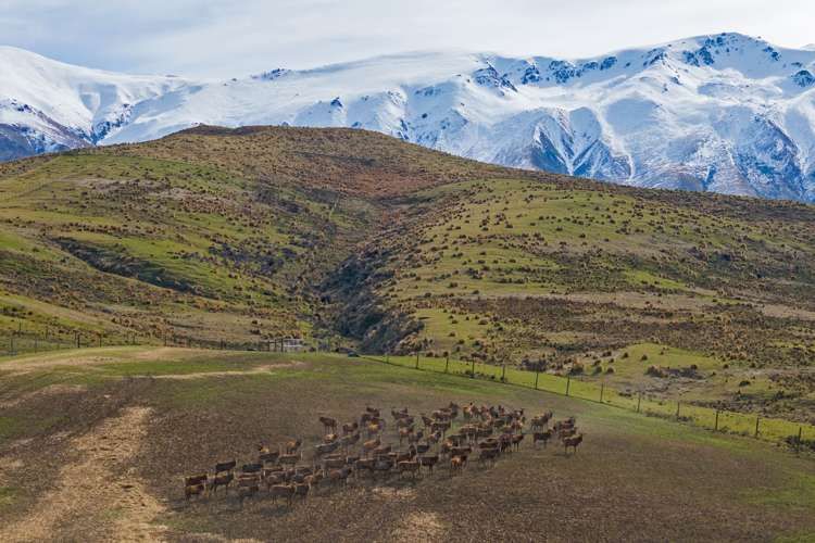 347 Butlers Road Fairlie_8