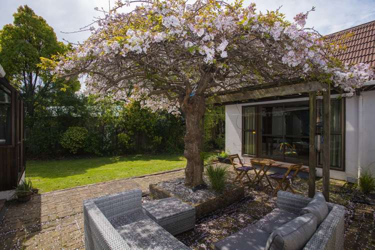 8 Darwin Road Outer Kaiti_11