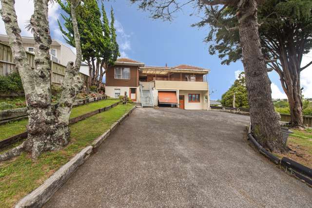 671 Richardson Road Mount Roskill_1