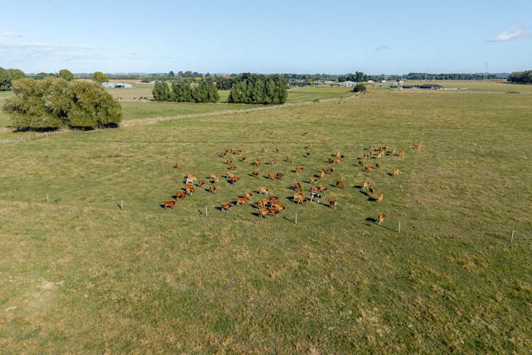 1228 Camerons Line Aorangi_14