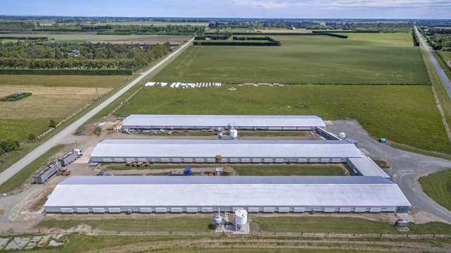 495 Selwyn Road Rolleston_3