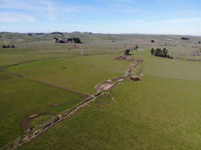 879 Ongaonga Road Ongaonga_3