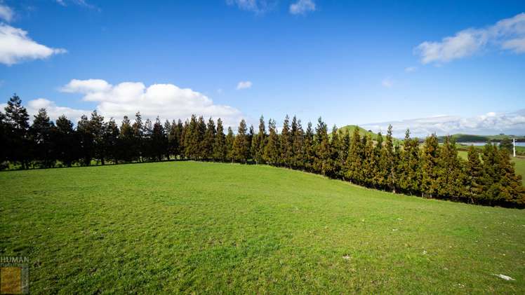 594 Falls Road Waerenga_1