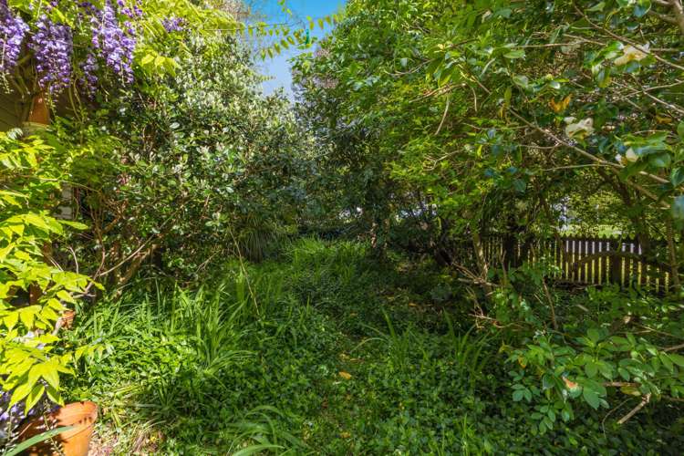 20 Buller Street Picton_18