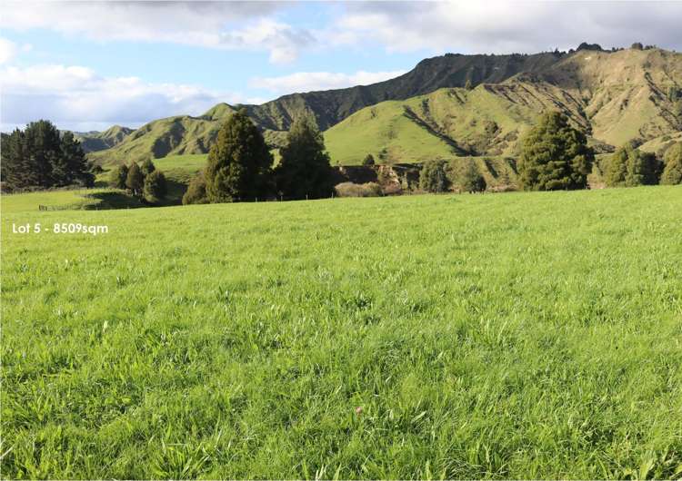 632 Mangaotuku Road Tututawa_7