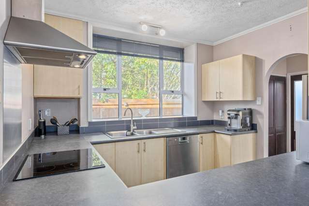 153 Middle Renwick Road Springlands_4