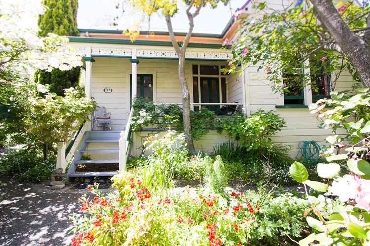 37 Milton Road Bluff Hill_20