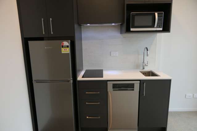 605B/123 Taranaki Street 2185_3