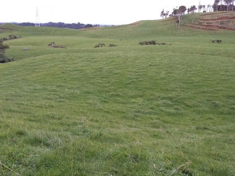 1102 Mangorei Road Mangorei_19