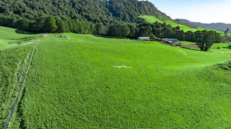 271 Endean Road Ngongotaha Valley_5