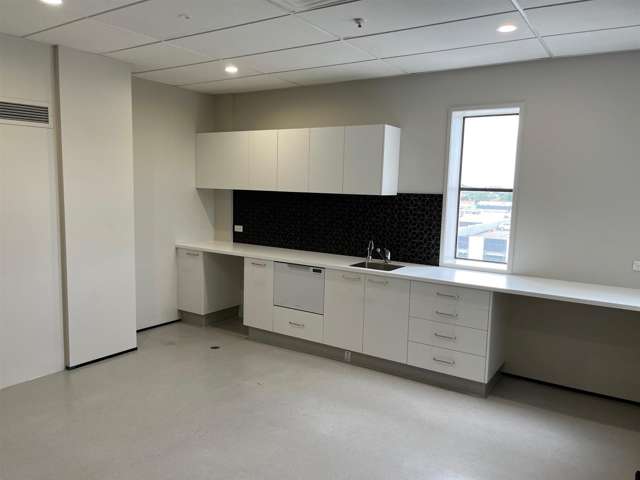 Part Level 5, 127 Alexandra Street Hamilton Central_3