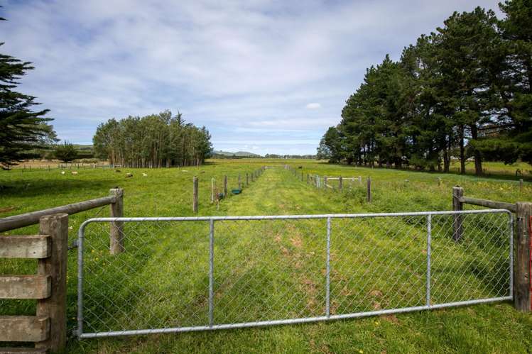 657 Domett Road Domett_6