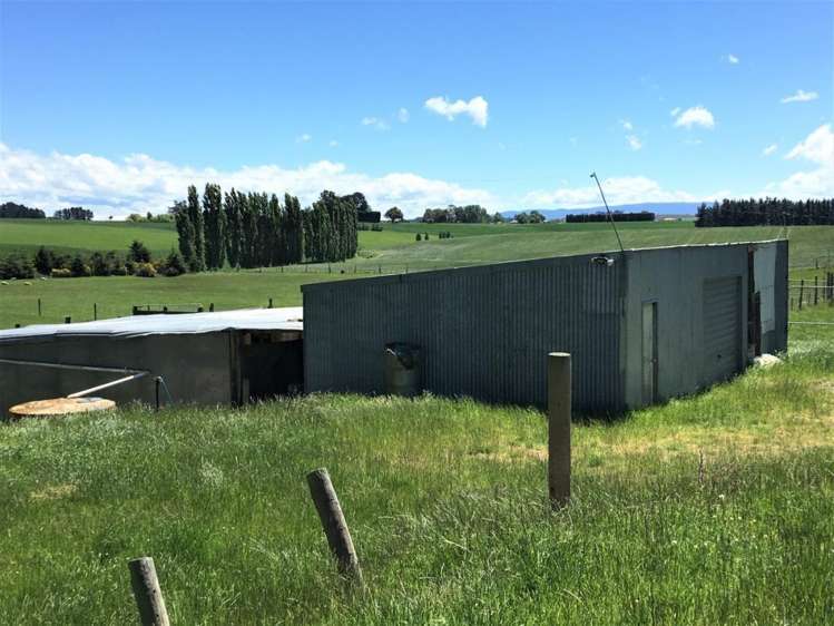 308 Waiwera Station Road Clinton and Surrounds_17