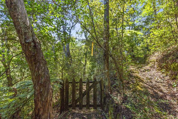 569 Te Akau Wharf Road Te Akau_23