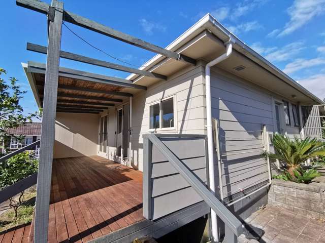 9 Mcfarland Street Remuera_4