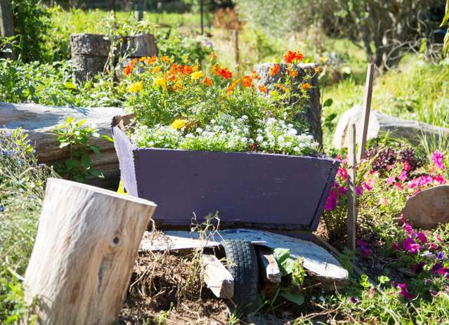 41 Beresford Avenue Surfdale_4