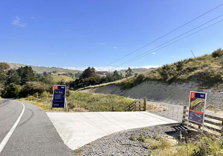 498 Seafield Road Puketapu_14