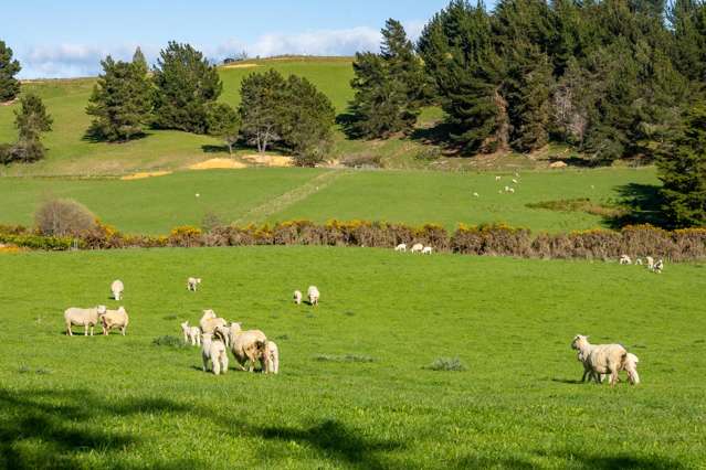 240 George Harvey Road Upper Moutere_2