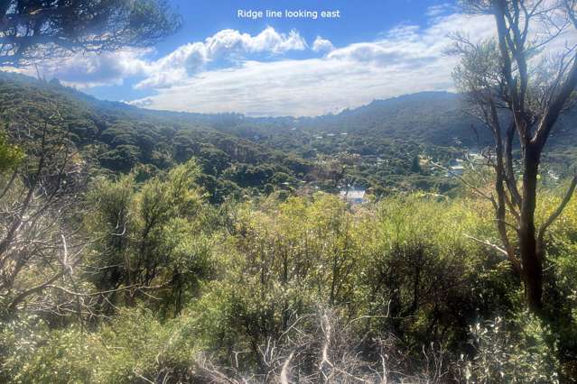 550 Blind Bay Road Great Barrier Island_4